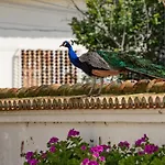 בית חווה Quinta Da Foz *