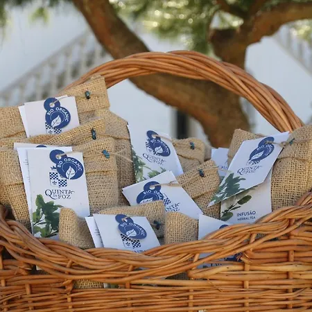 Quinta Da Foz Feriegård