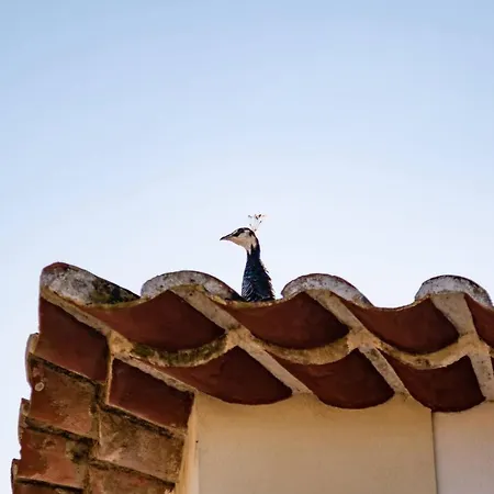 Feriegård Quinta Da Foz Foz do Arelho