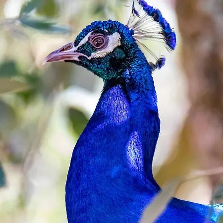 Quinta Da Foz Feriegård