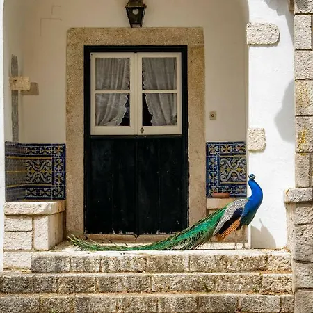 ファームステイ Quinta Da Foz *