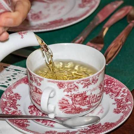 昆塔福斯酒店