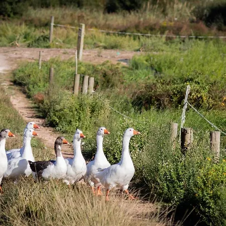 Quinta Da Foz * フォス・ド・アレーリョ