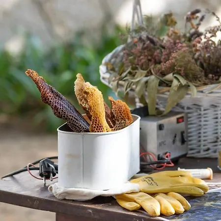 Quinta Da Foz Çiftlik konaklama *