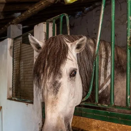 Çiftlik konaklama Quinta Da Foz Foz do Arelho
