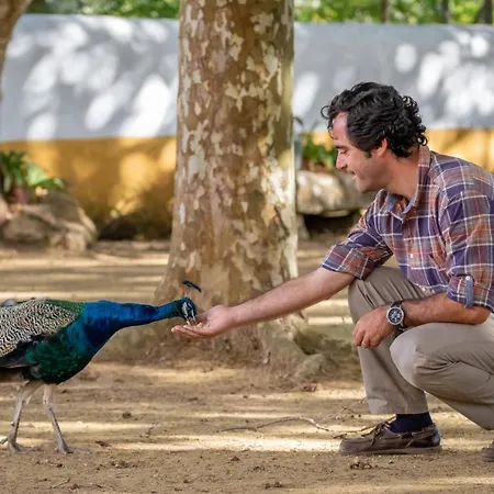 ファームステイ Quinta Da Foz *