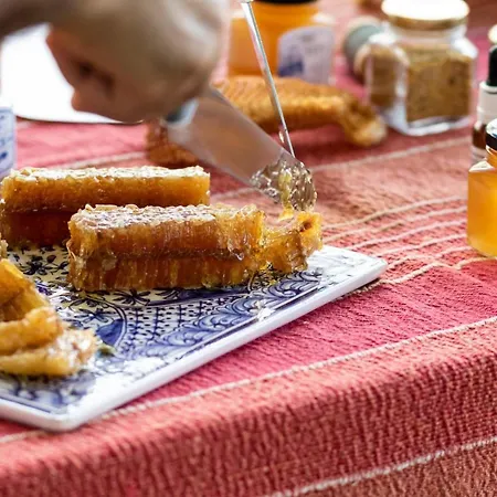 Quinta Da Foz フォス・ド・アレーリョ