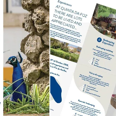 Quinta Da Foz ファームステイ *