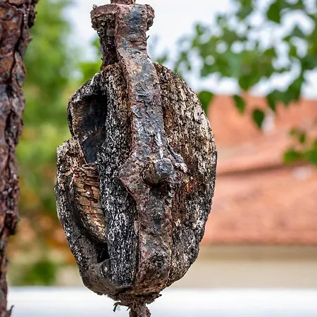 ファームステイ Quinta Da Foz フォス・ド・アレーリョ