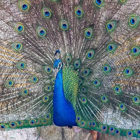 Quinta Da Foz Çiftlik konaklama *