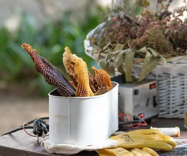 Quinta Da Foz Farma *