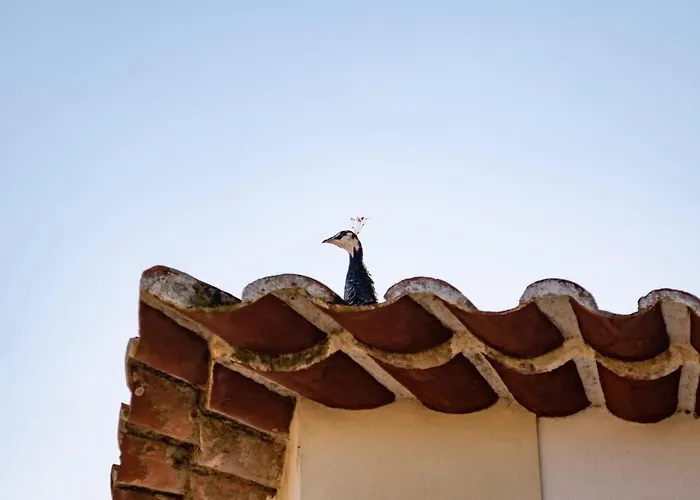 Farma Quinta Da Foz Foz do Arelho