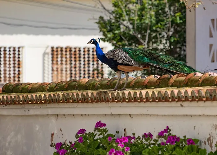 Farma Quinta Da Foz *