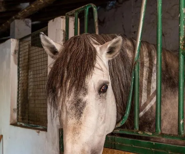 Farma Quinta Da Foz Foz do Arelho