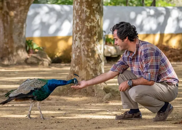 Farma Quinta Da Foz *