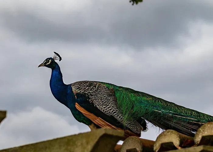 Quinta Da Foz Farma Foz do Arelho