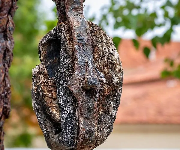 Farma Quinta Da Foz Foz do Arelho