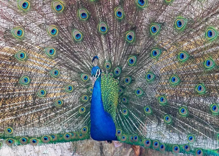 Quinta Da Foz Farma *